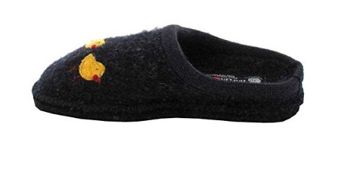 Haflinger gallina 2025